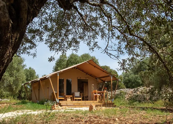 Domus Olea Glamping
