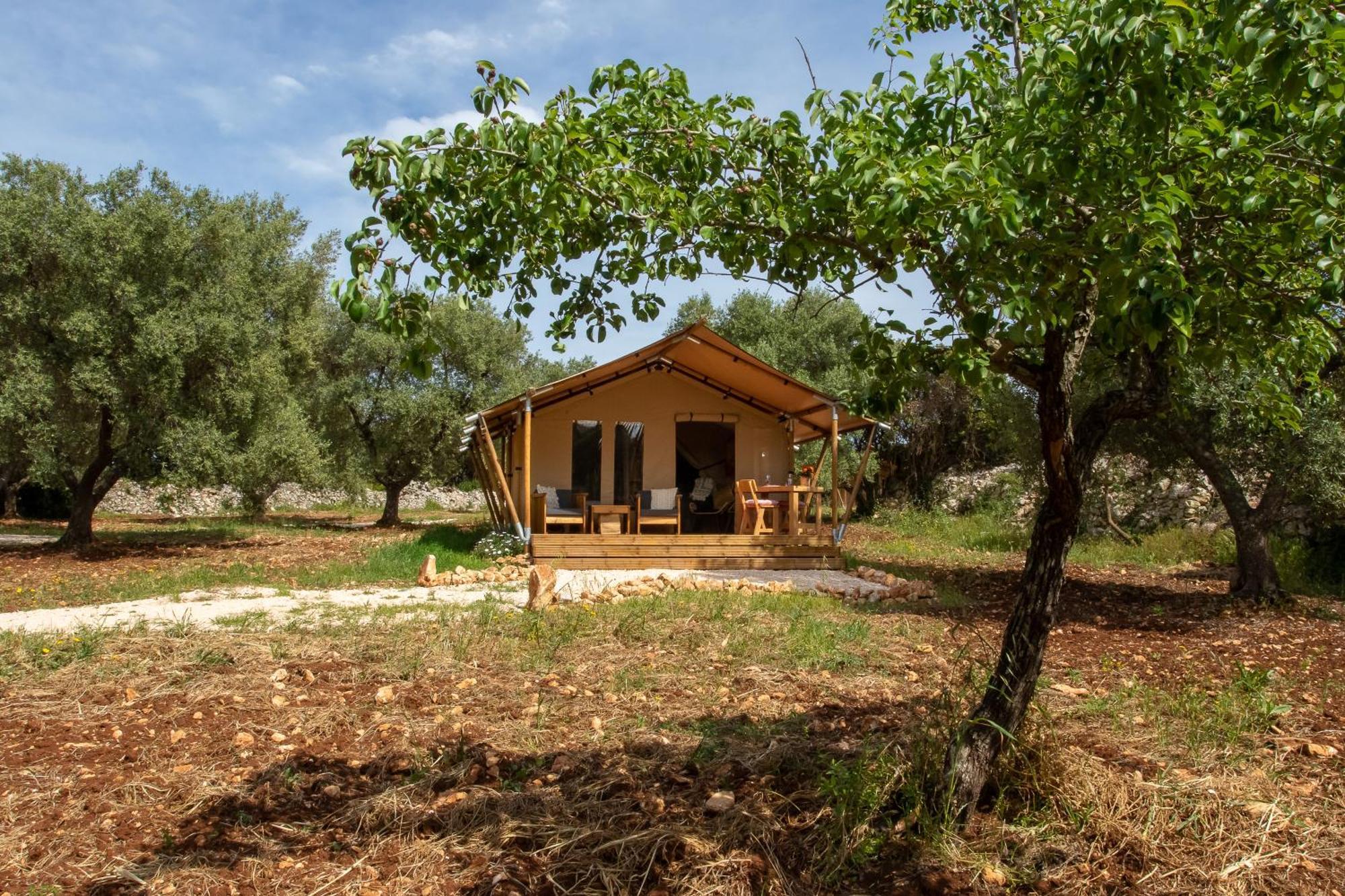 Luxury tent Domus Olea Glamping