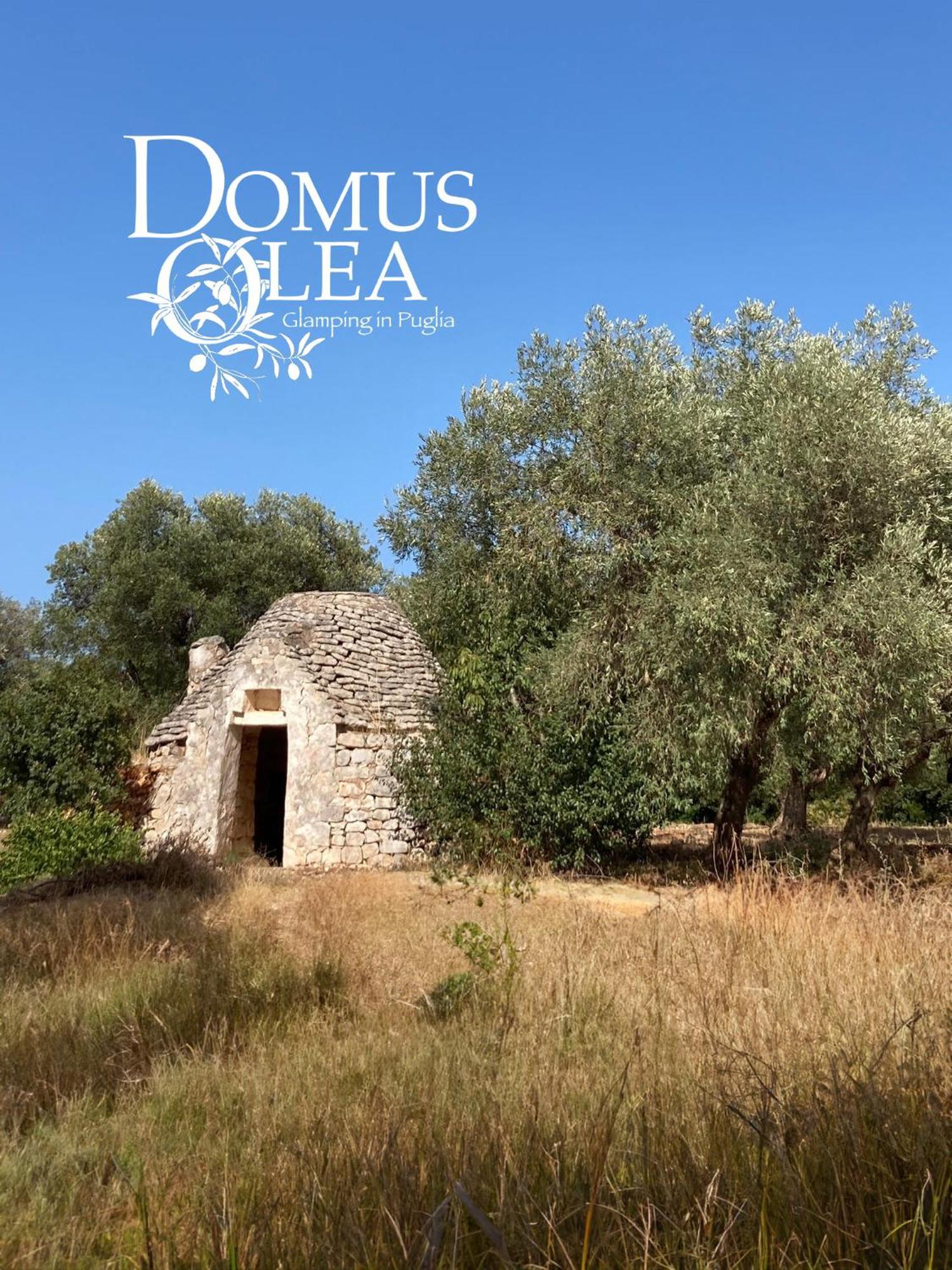 Domus Olea Glamping Campismo de Luxo
