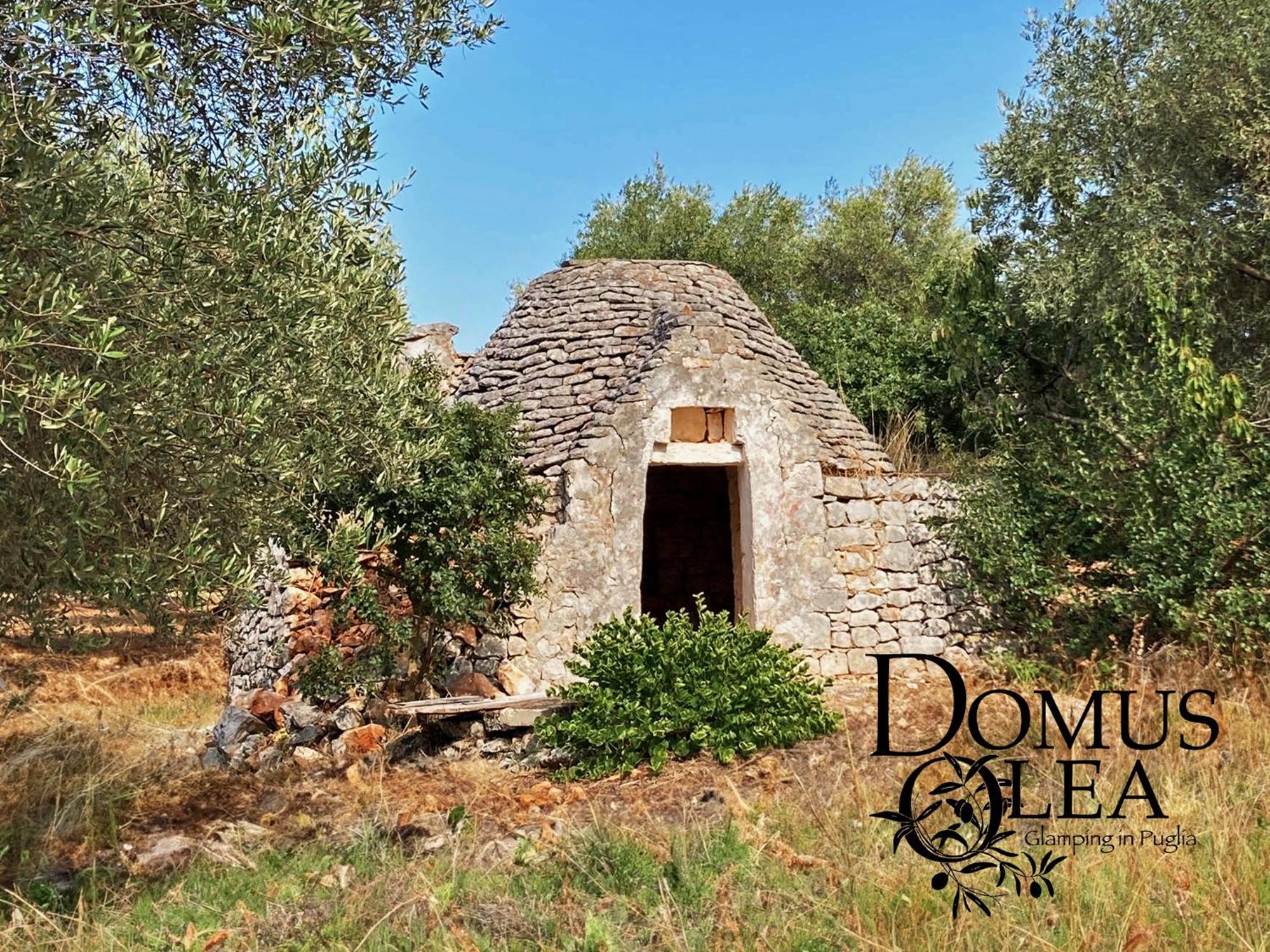 Domus Olea Glamping Luxuszelt *