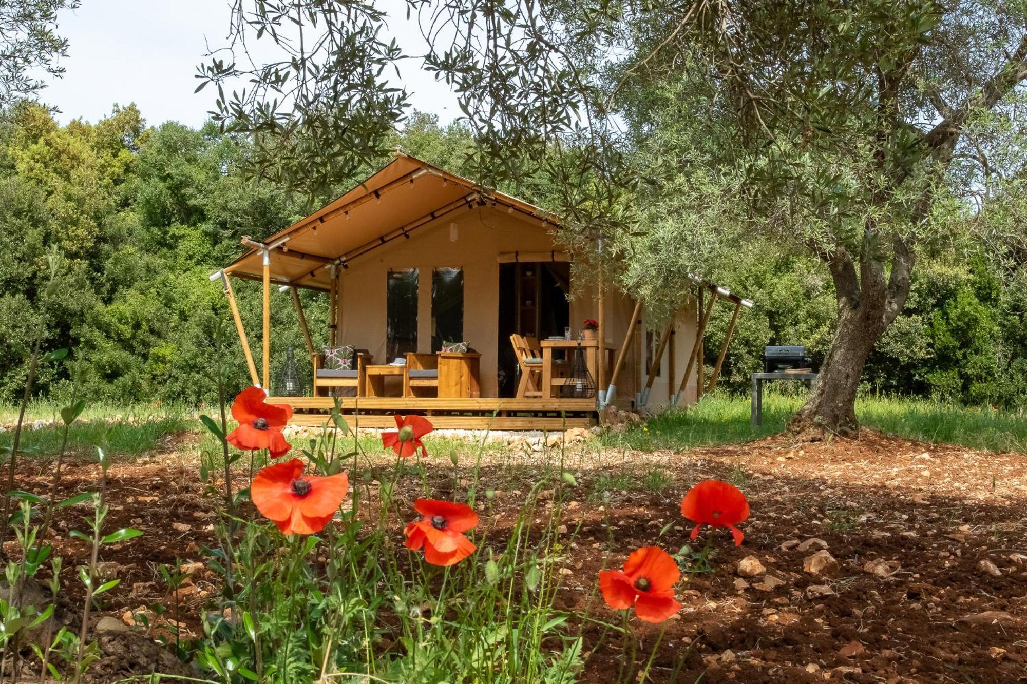 Domus Olea Glamping * Ceglie Messapica