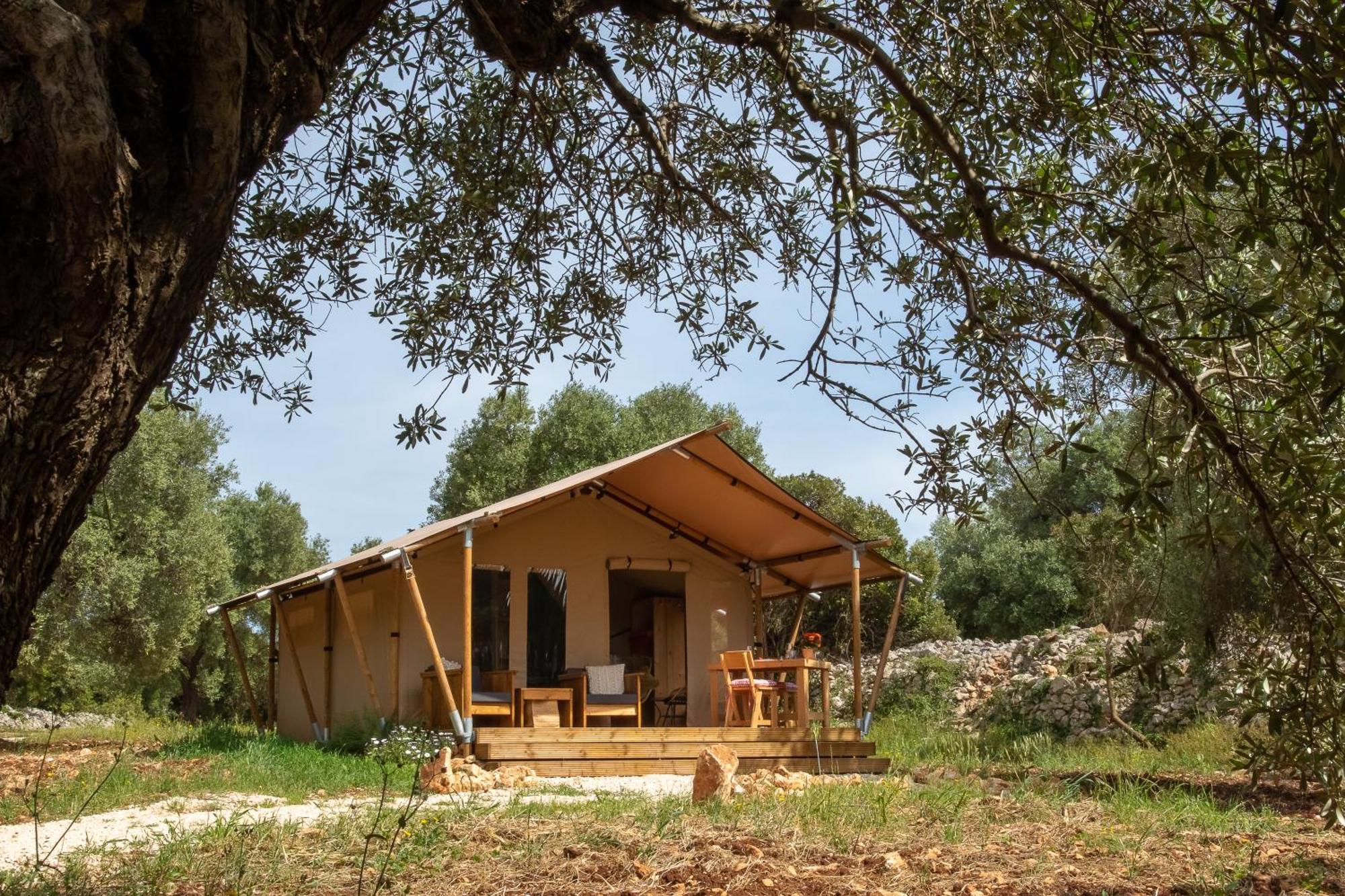 Domus Olea Glamping Luxuszelt